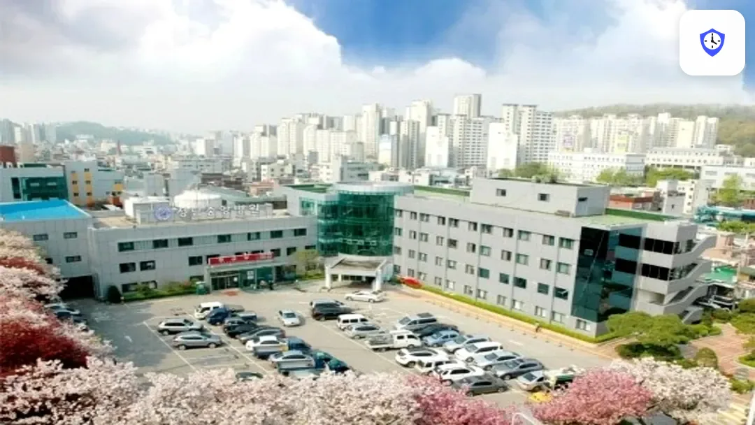 성남중앙병원장례식장 주변 현장