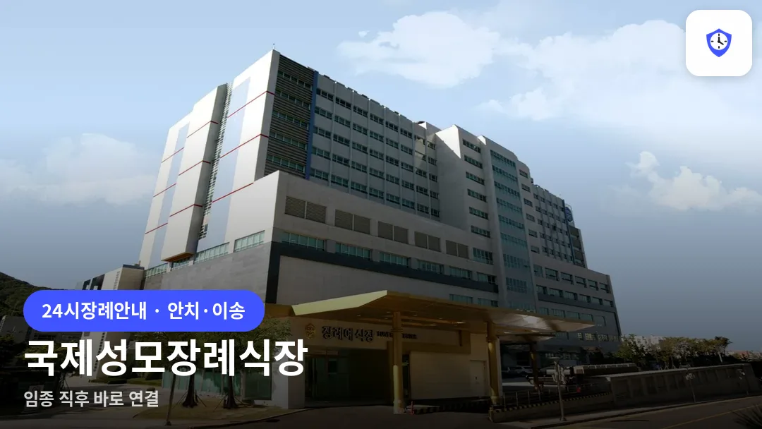 국제성모장례식장 도착 지점