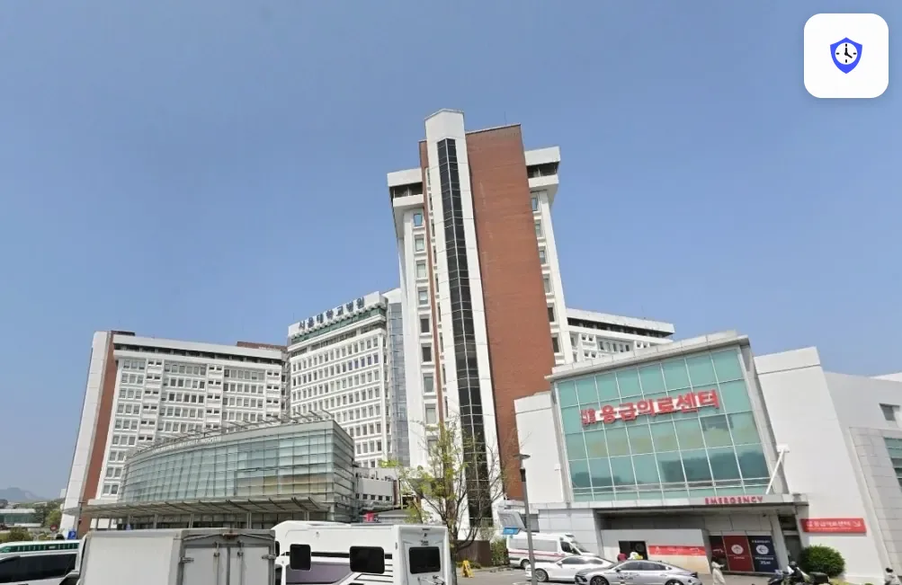 서울대병원장례식장 주변 현장